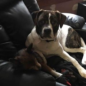 Meet your Posher, Nick